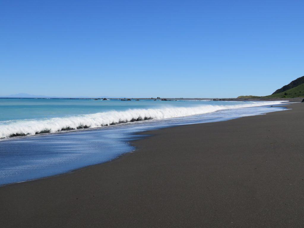 Cape Palliser Black Sand Beach New Zealand
