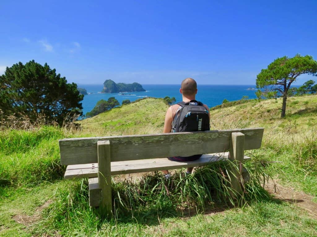 Viewing bench on Cathedral Cove walking track 
