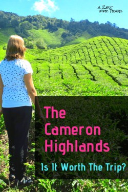 Are The Cameron Highlands Worth The Trip?