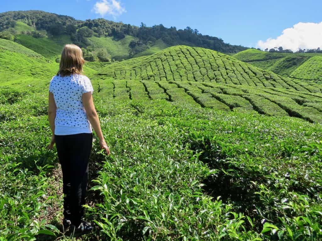 Joannda in the middle of the tea plantations