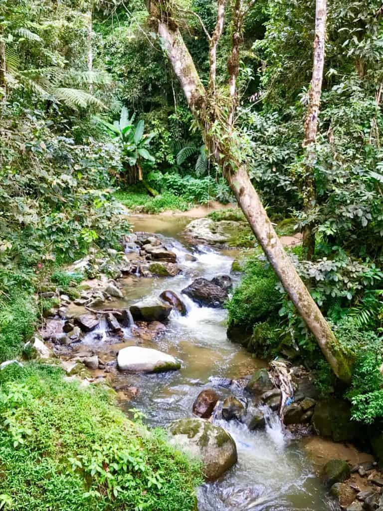 Parit Waterfall and stream on trail 4 from Tanah Rata