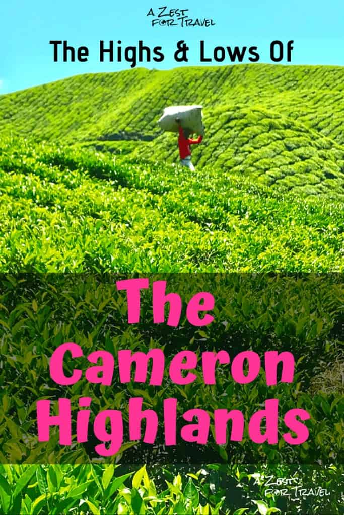 The Highs & Lows of The Cameron Highlands Malaysia