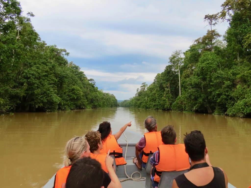 Do a 2 day Kinabatangan River stay as part of your ultimate 2 week Borneo itinerary