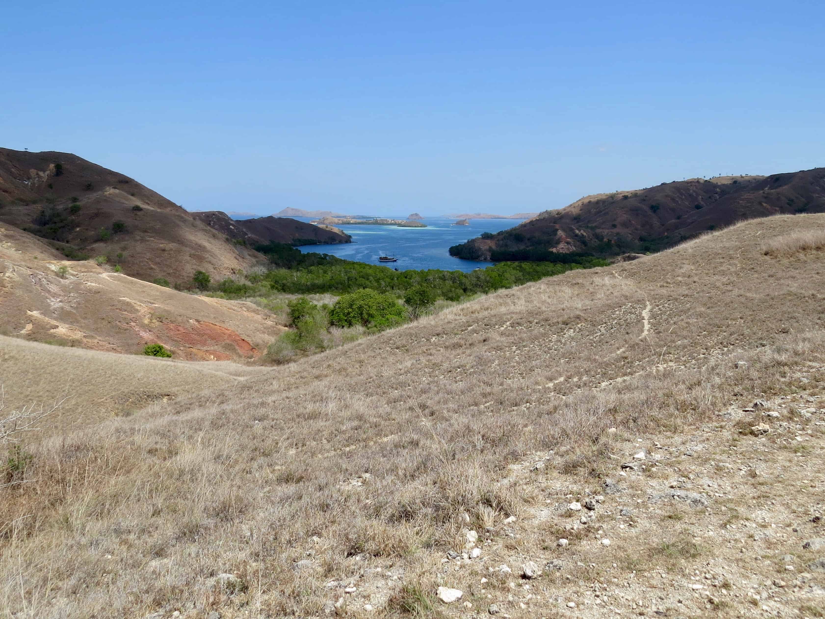 Rinca Island, our second chance to spot Komodo Dragons during our Komodo Island Boat Tour