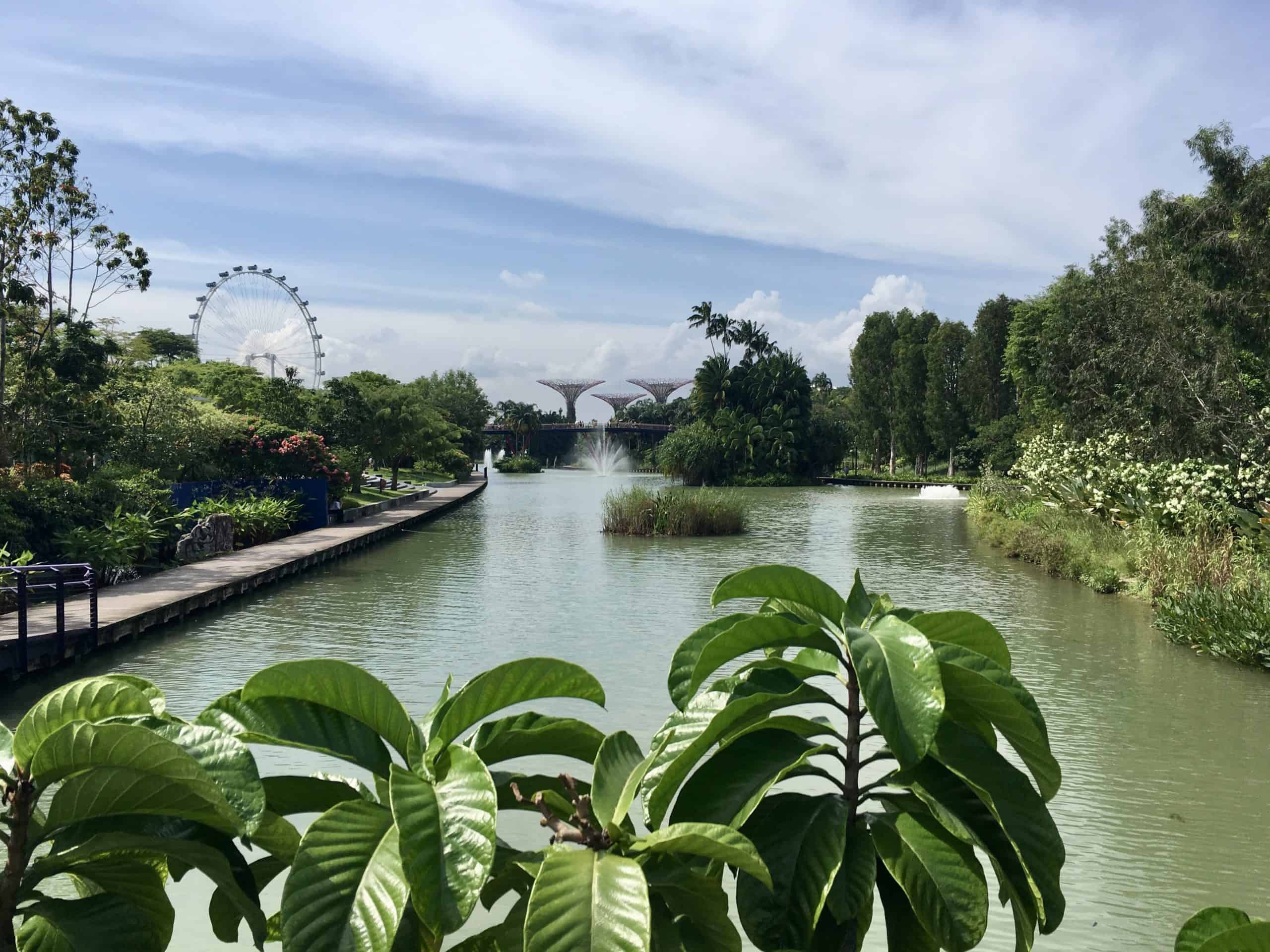 View of the Singapore Eye and Supertrees from Gardens By The Bay