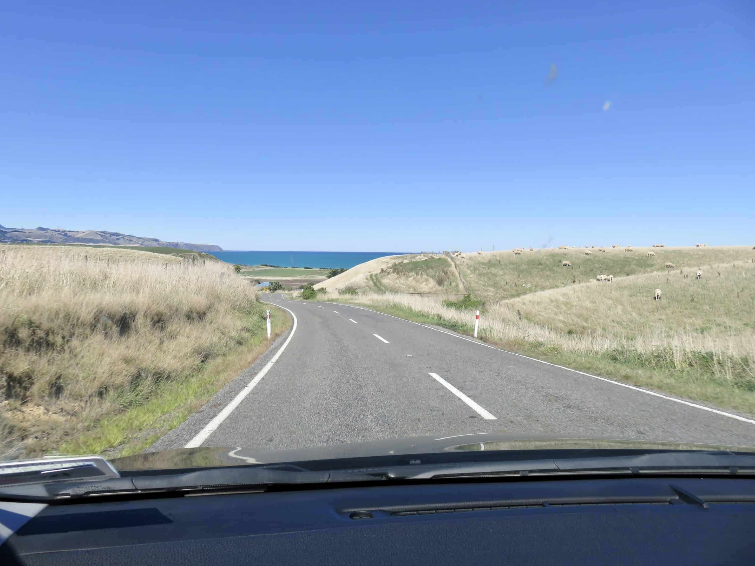 The roads in New Zealand are generally in great condition