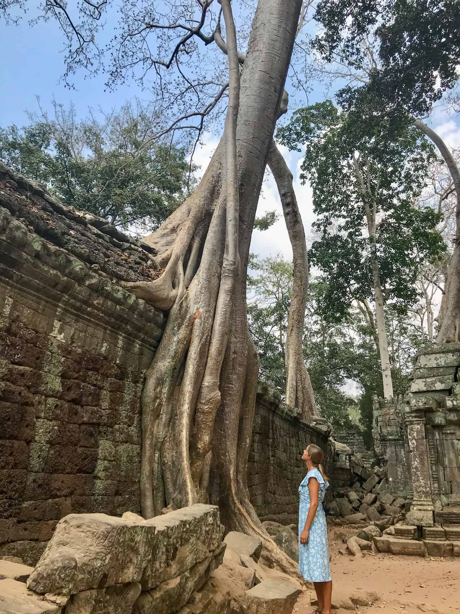 Joannda standing by massive tree growing at Ta Prohm temple in Angkor Wat Siem Reap Cambodia