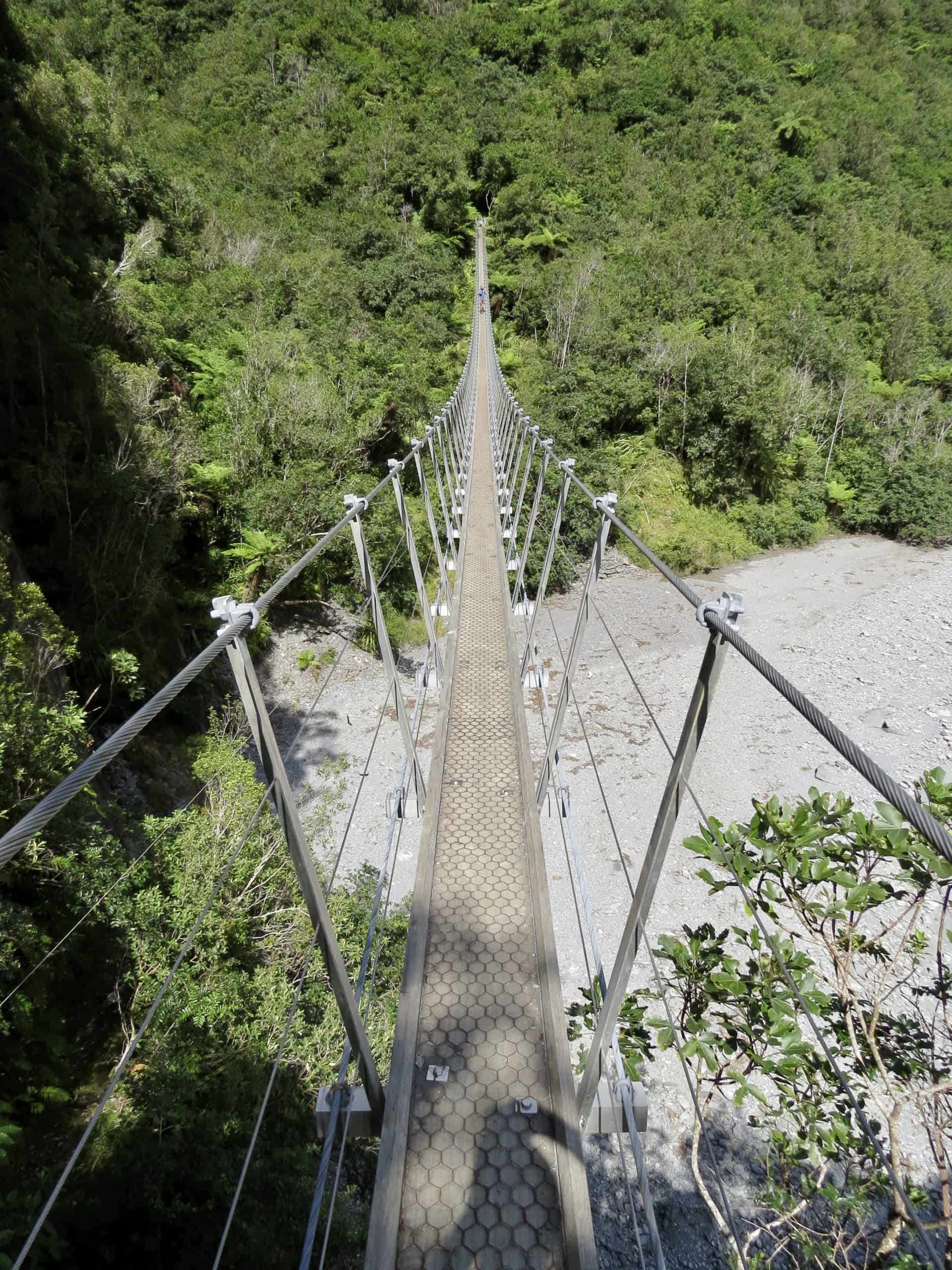 The longest swing bridge on the Roberts Point Day Hike in Franz Josef