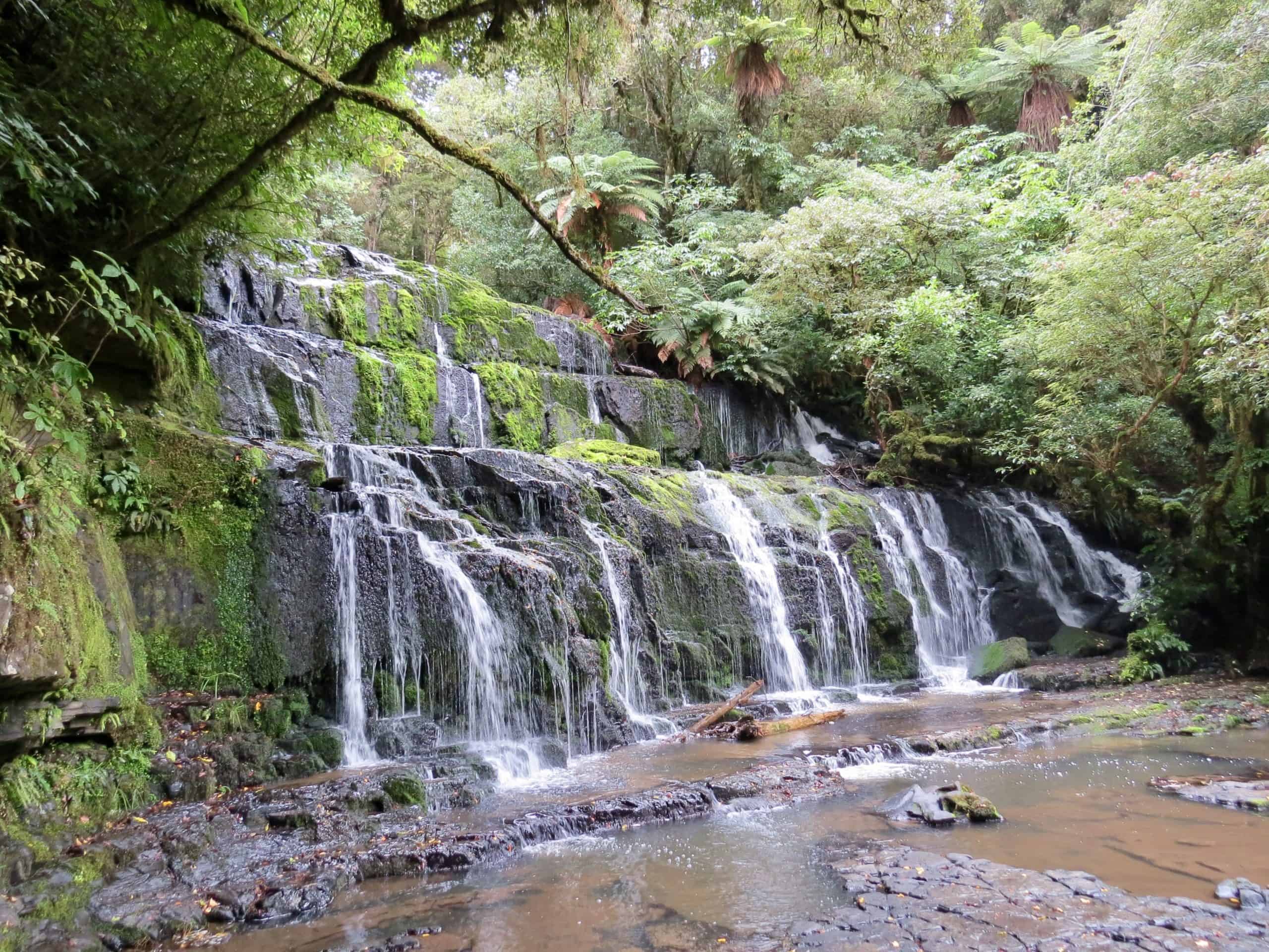 Visiting Purakaunui Falls is one of the top things to do in the Catlins Coast