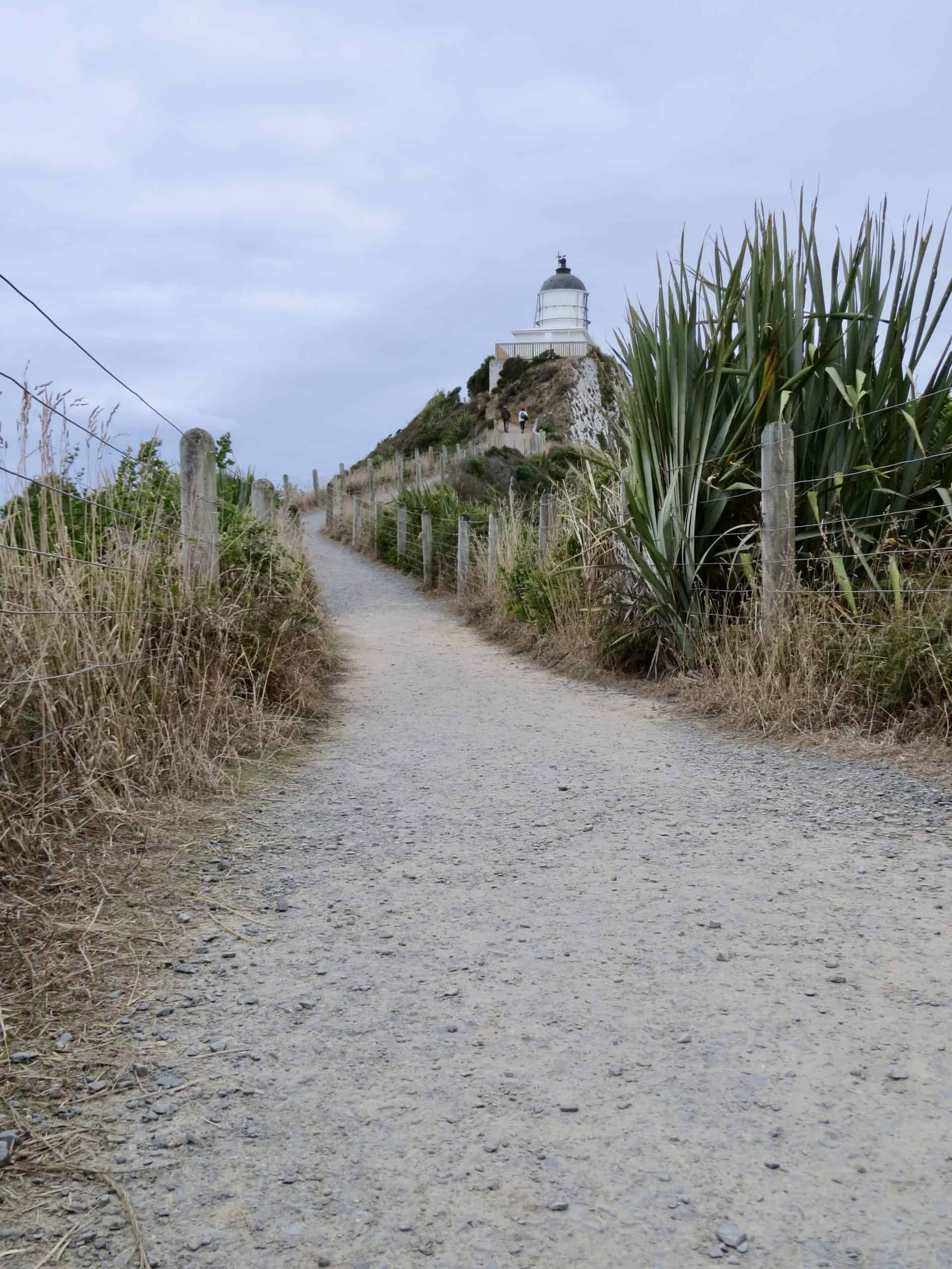 Nugget Point lighthouse is a picturesque attraction to visit on your Catlins road trip