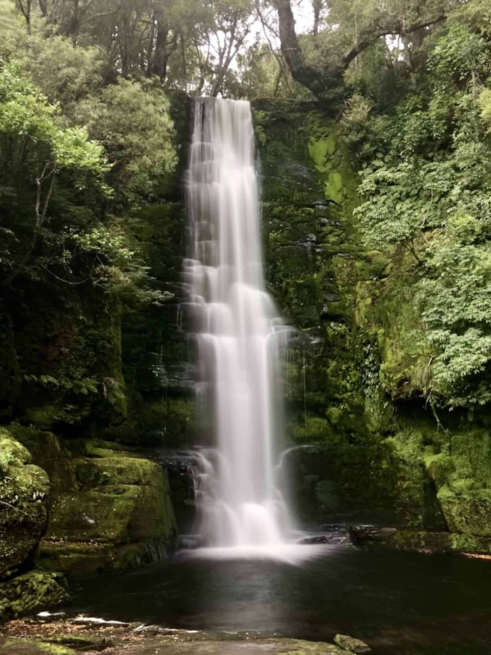 McLean Waterfall was our favourite of the Catlins waterfalls