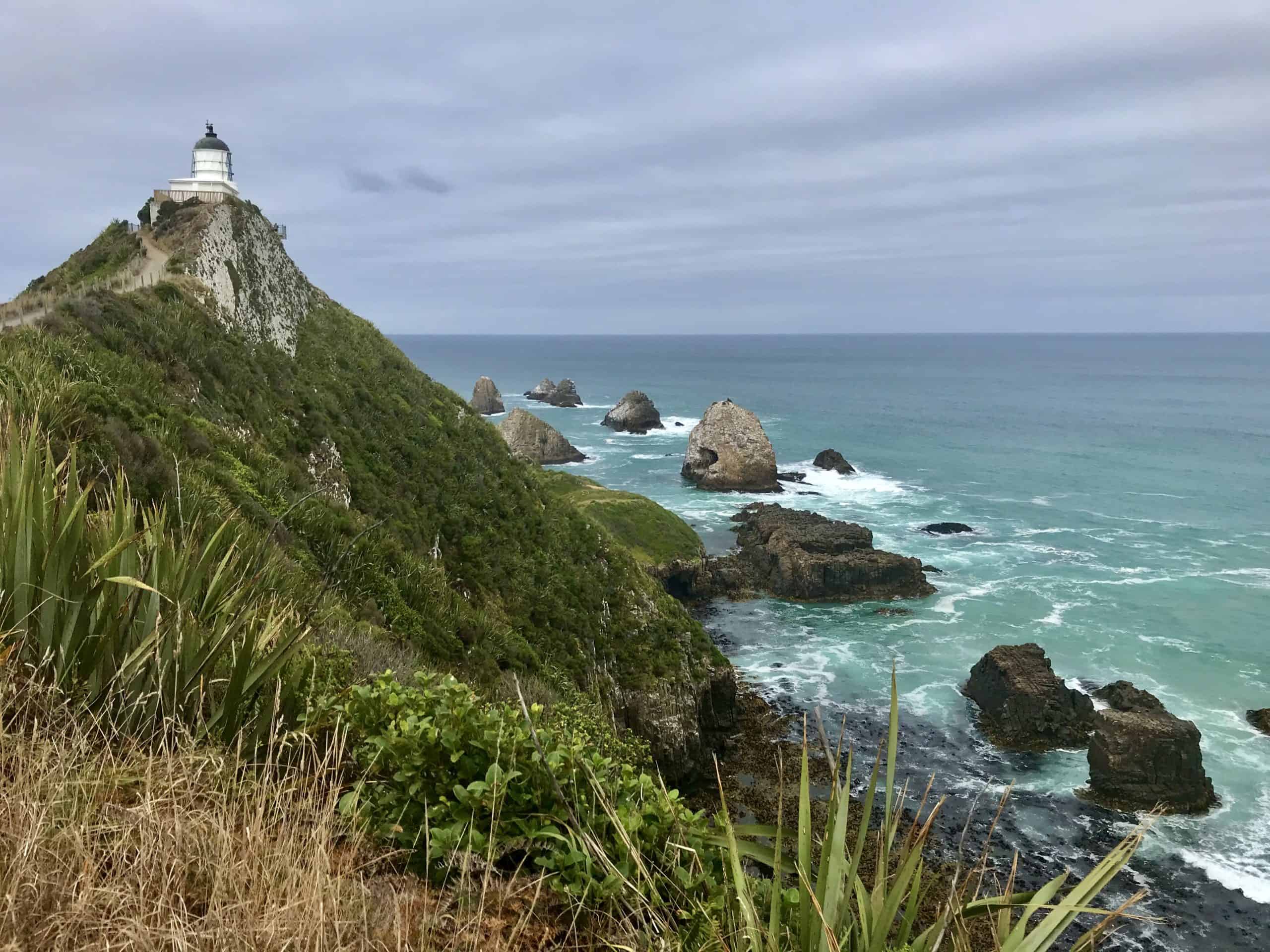 Nugget Point is a famous attraction and one of the amazing things to do in the Catlins Coast
