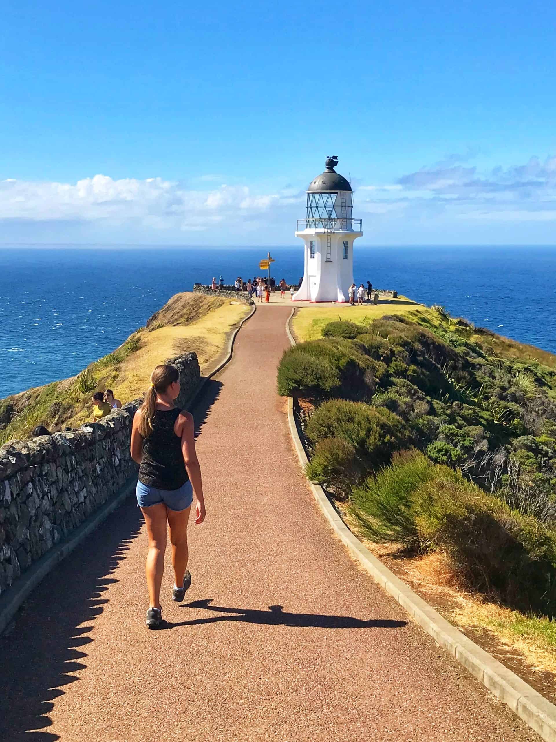 Cape Reinga is about as far north as you can go in New Zealand, and a best of Northland