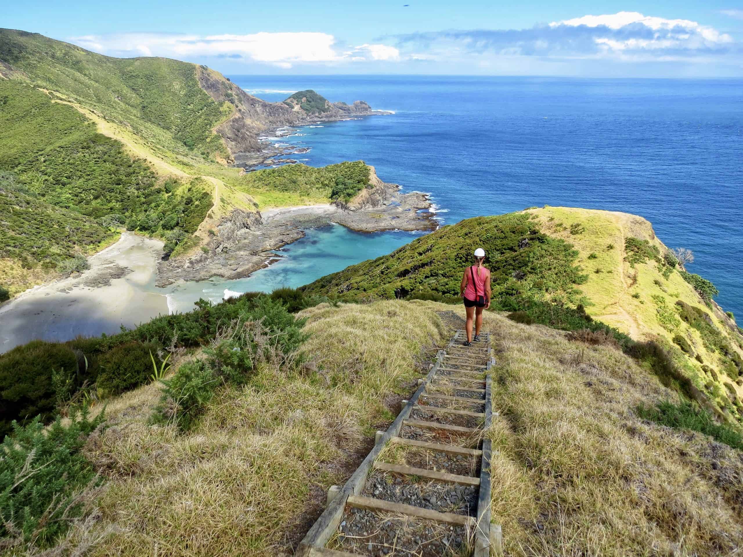 Incredible coastal day hike to Cape Reinga from Tapotupotu Bay
