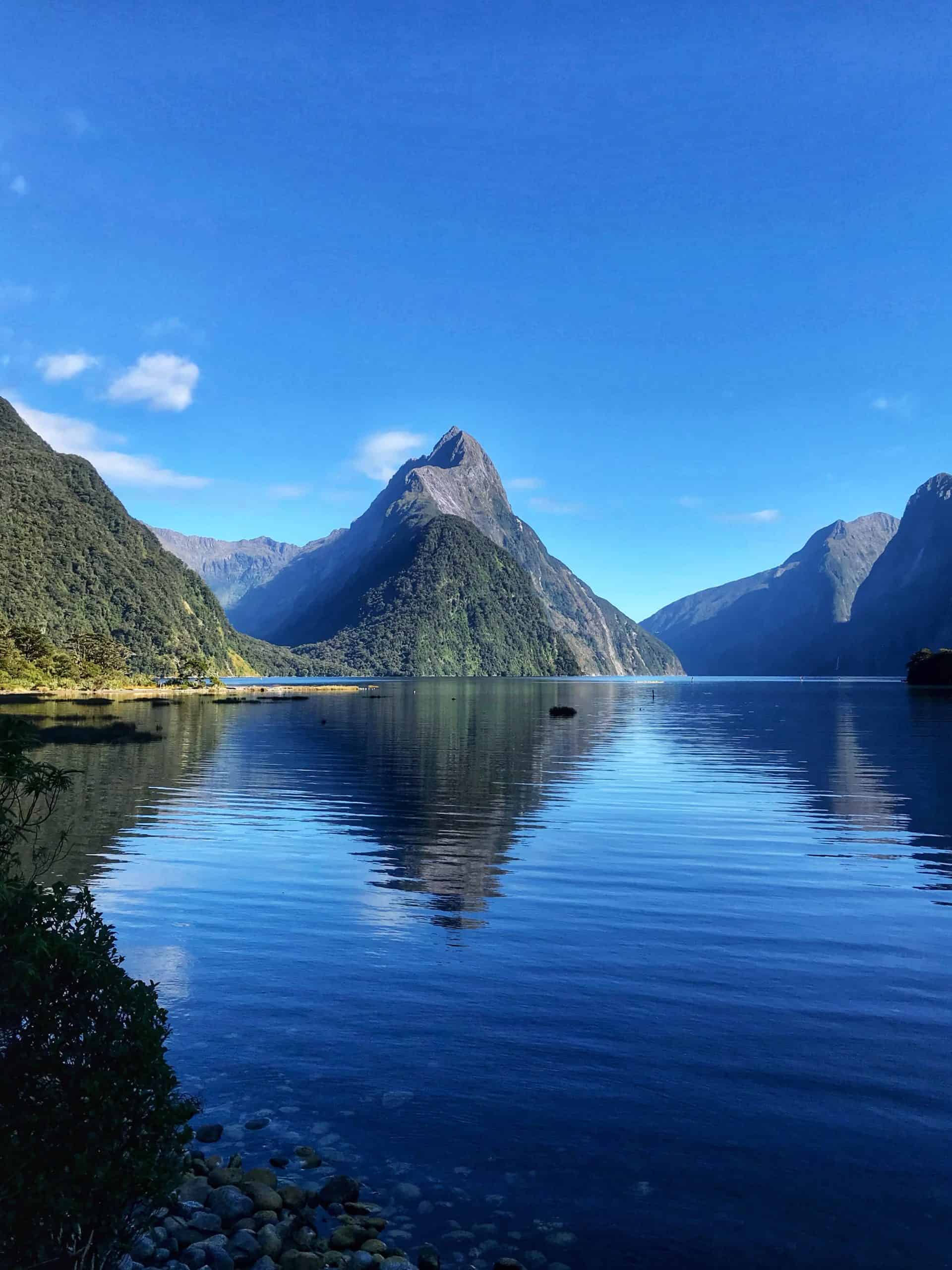Sandflies are rife in New Zealand, especially at Milford Sound