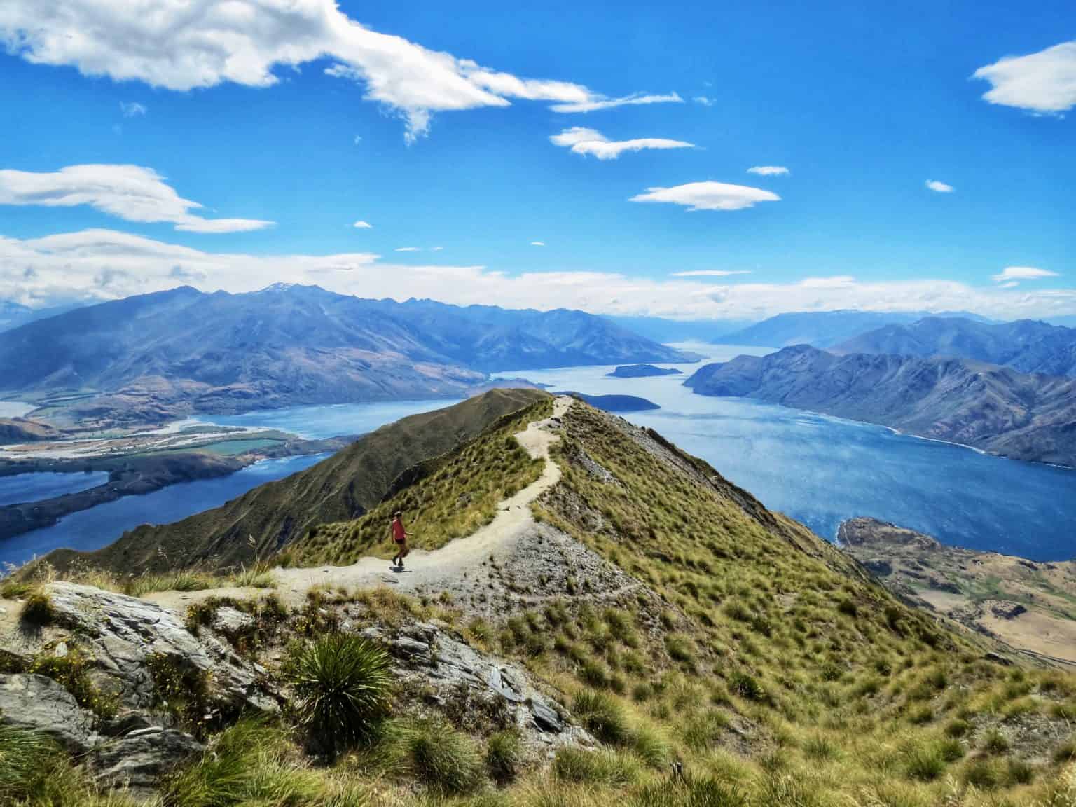 20-weird-things-to-know-about-new-zealand-before-you-visit