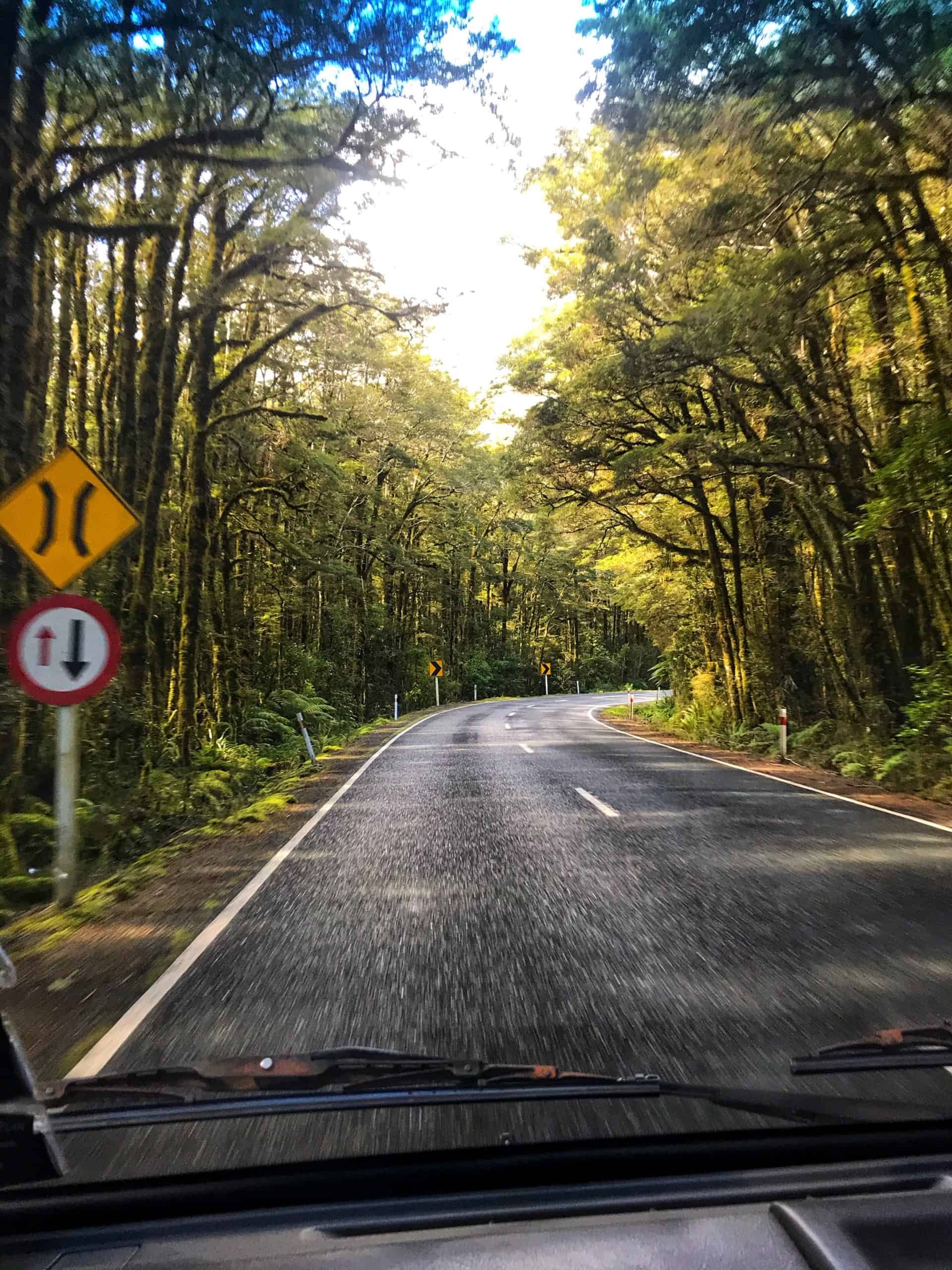 Coming up to a one lane bridge in New Zealand